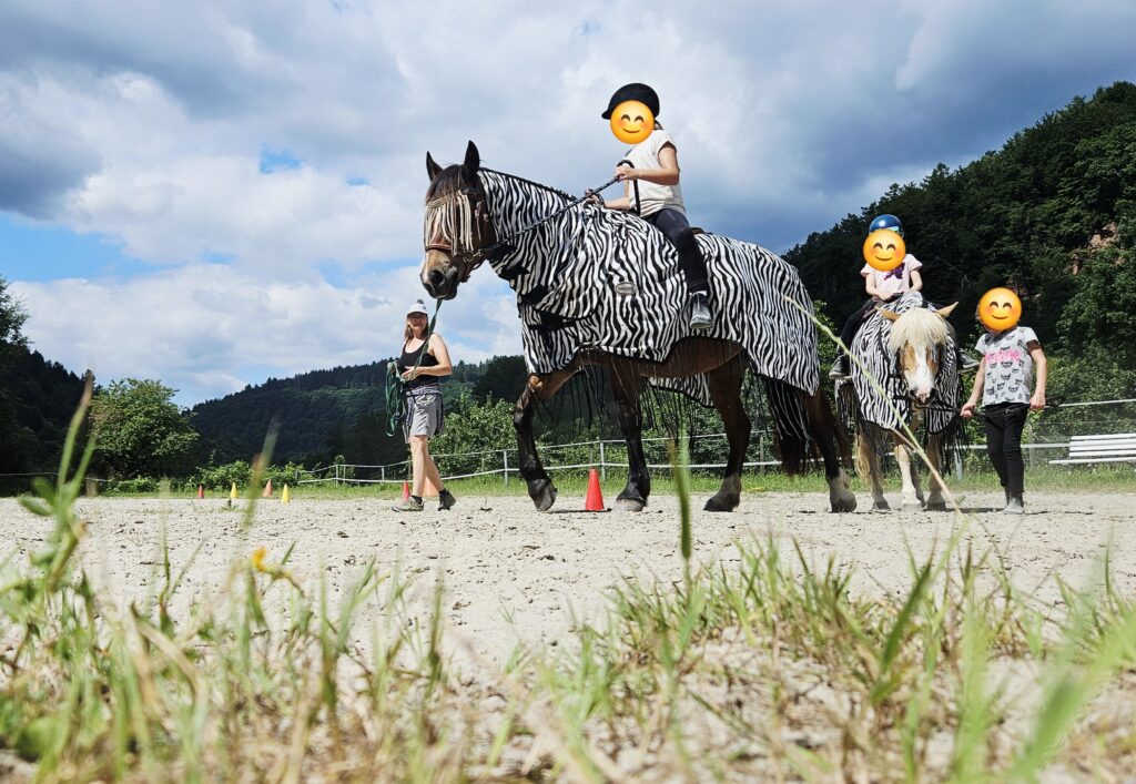 Im Sommer auf dem Reitplatz